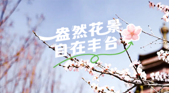 欧博